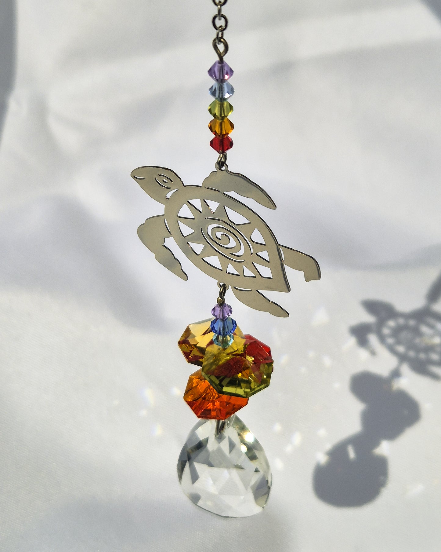 Attrape soleil | Tortue de la longévité