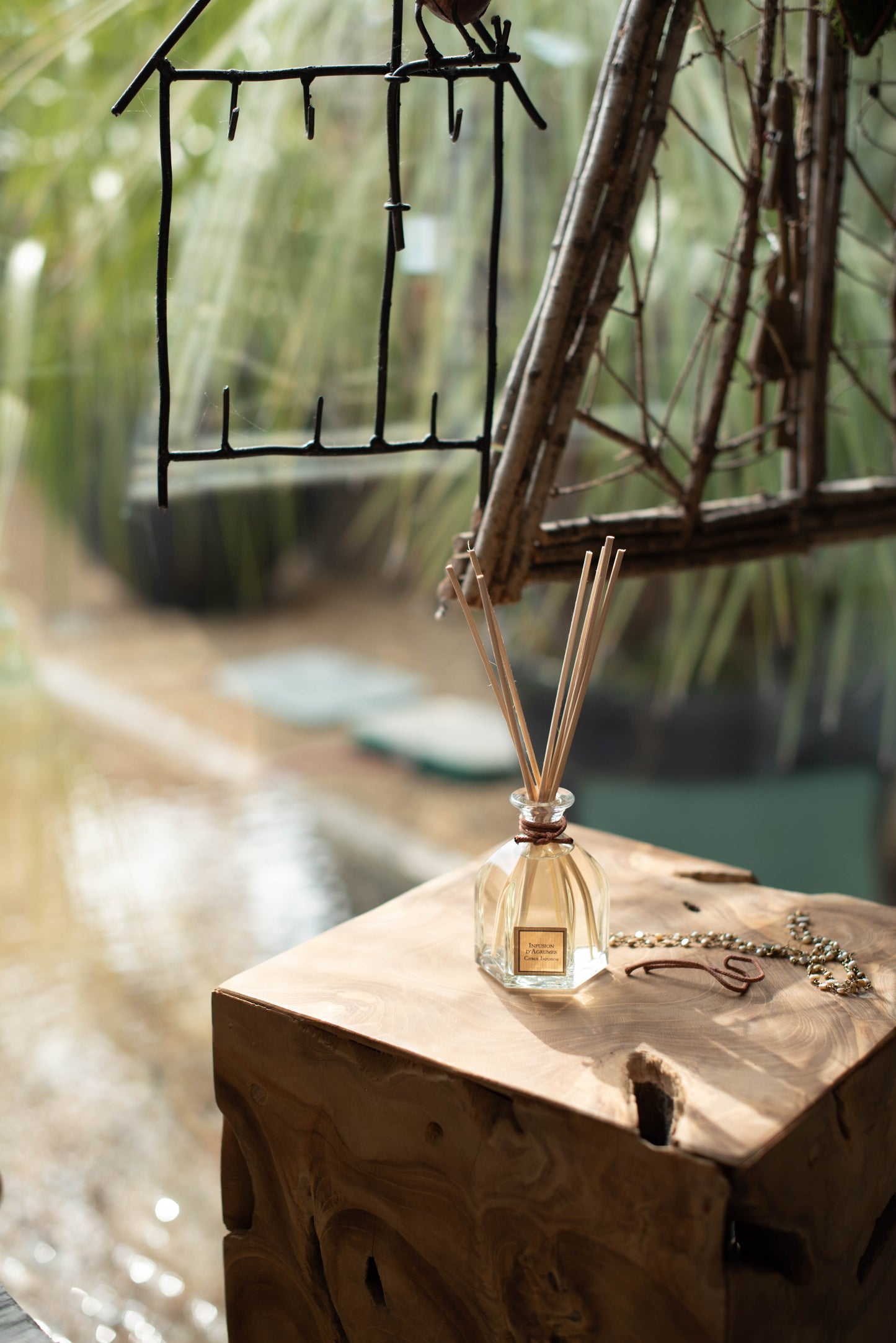 Infusion d'agrumes - Bouquet parfumé de Collines de Provence