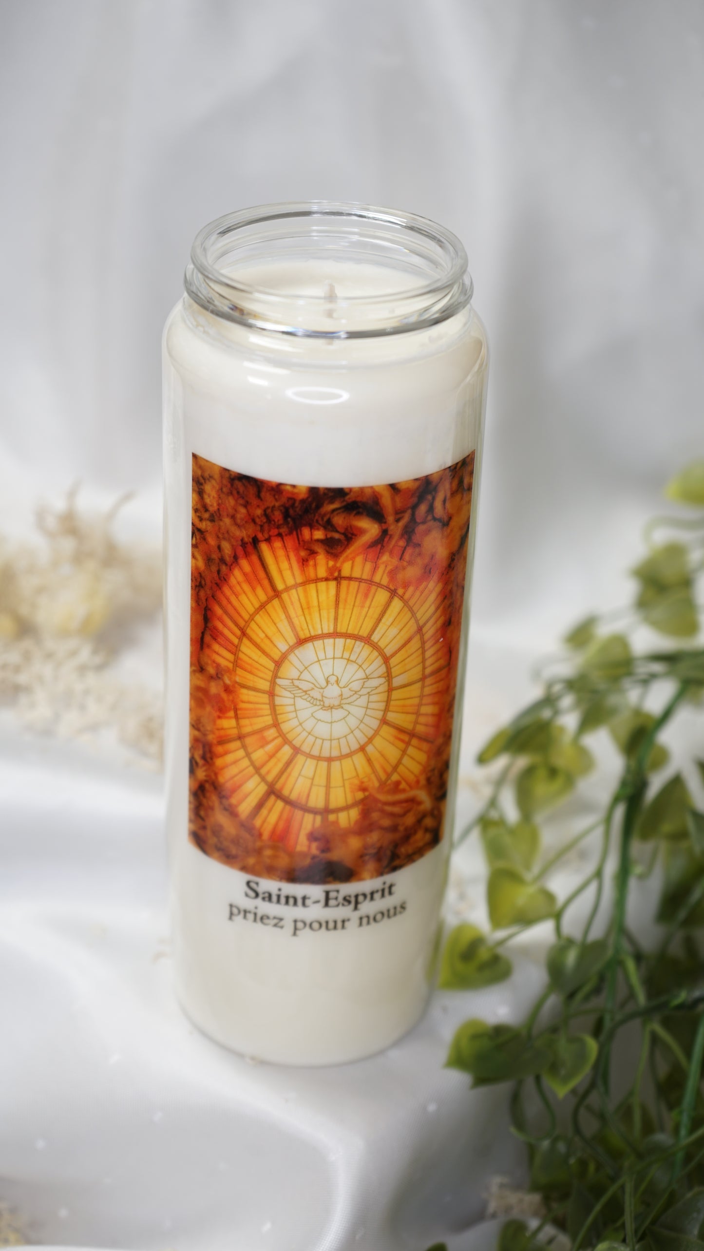 Neuvaines - Effigies divers avec prière