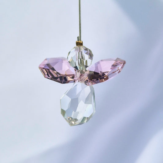 Attrape Soleil Cristal | Octobre