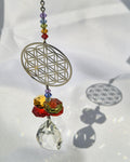 Attrape soleil | Fleur de vie
