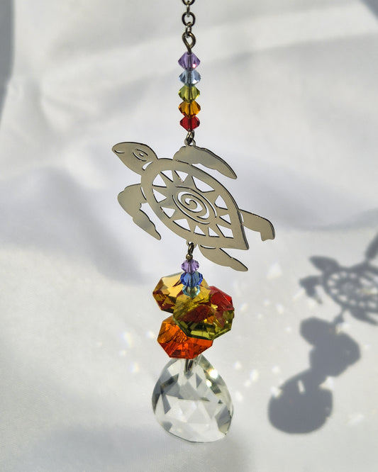 Attrape soleil | Tortue de la longévité