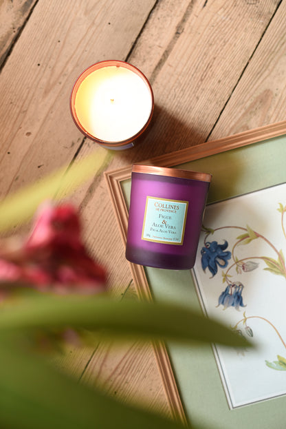 Figue & Aloe Vera - Bougie Parfumée