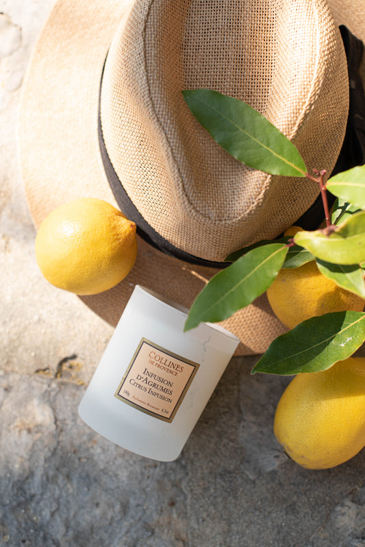 Infusion d'Agrumes - Bougie Parfumée de Collines de Provence