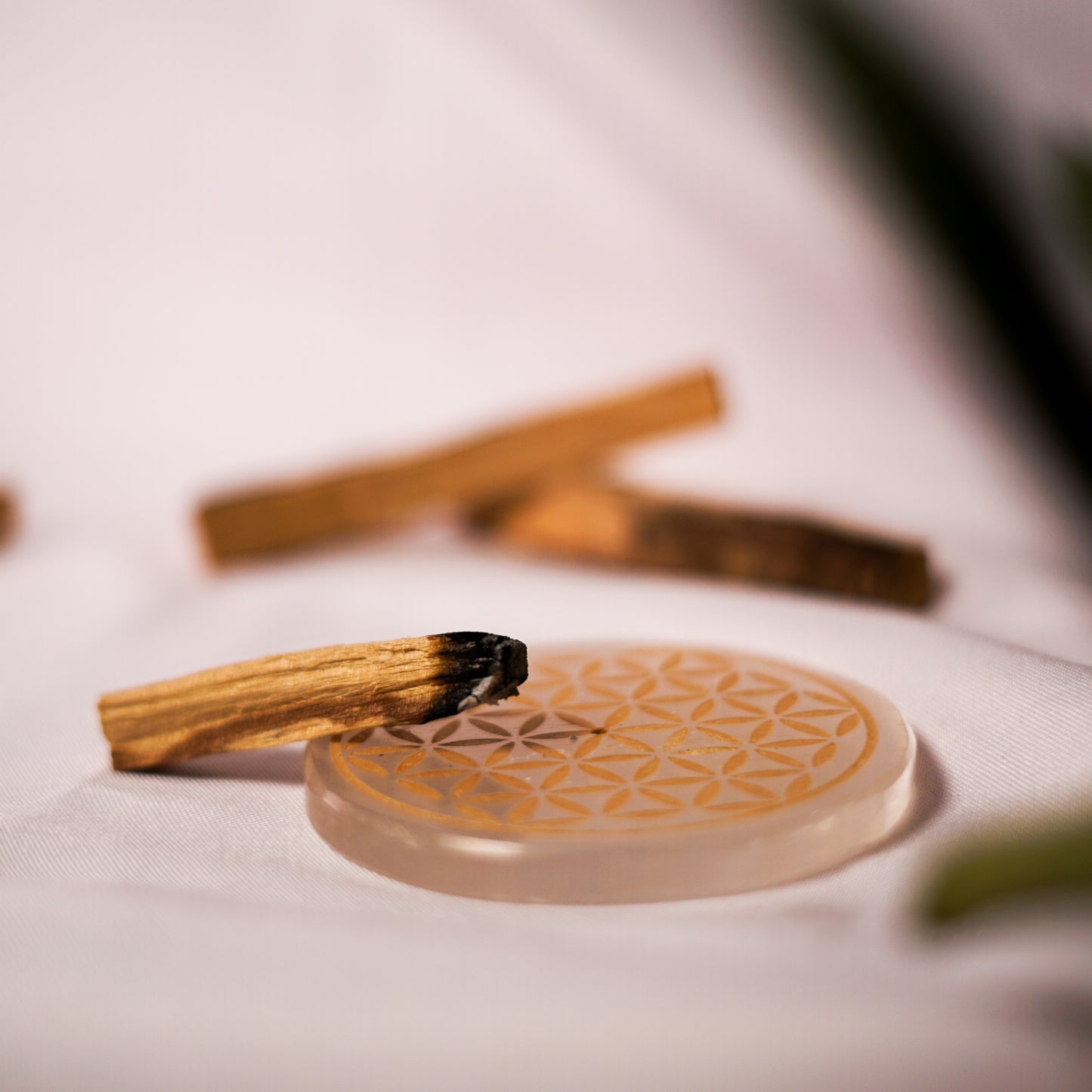 Bâtons de Palo Santo
