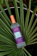 Figue & Aloe Vera - Parfum d'intérieur de Collines de Provence