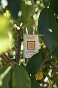 Infusion d'agrumes - Parfum d'intérieur de Collines de Provence