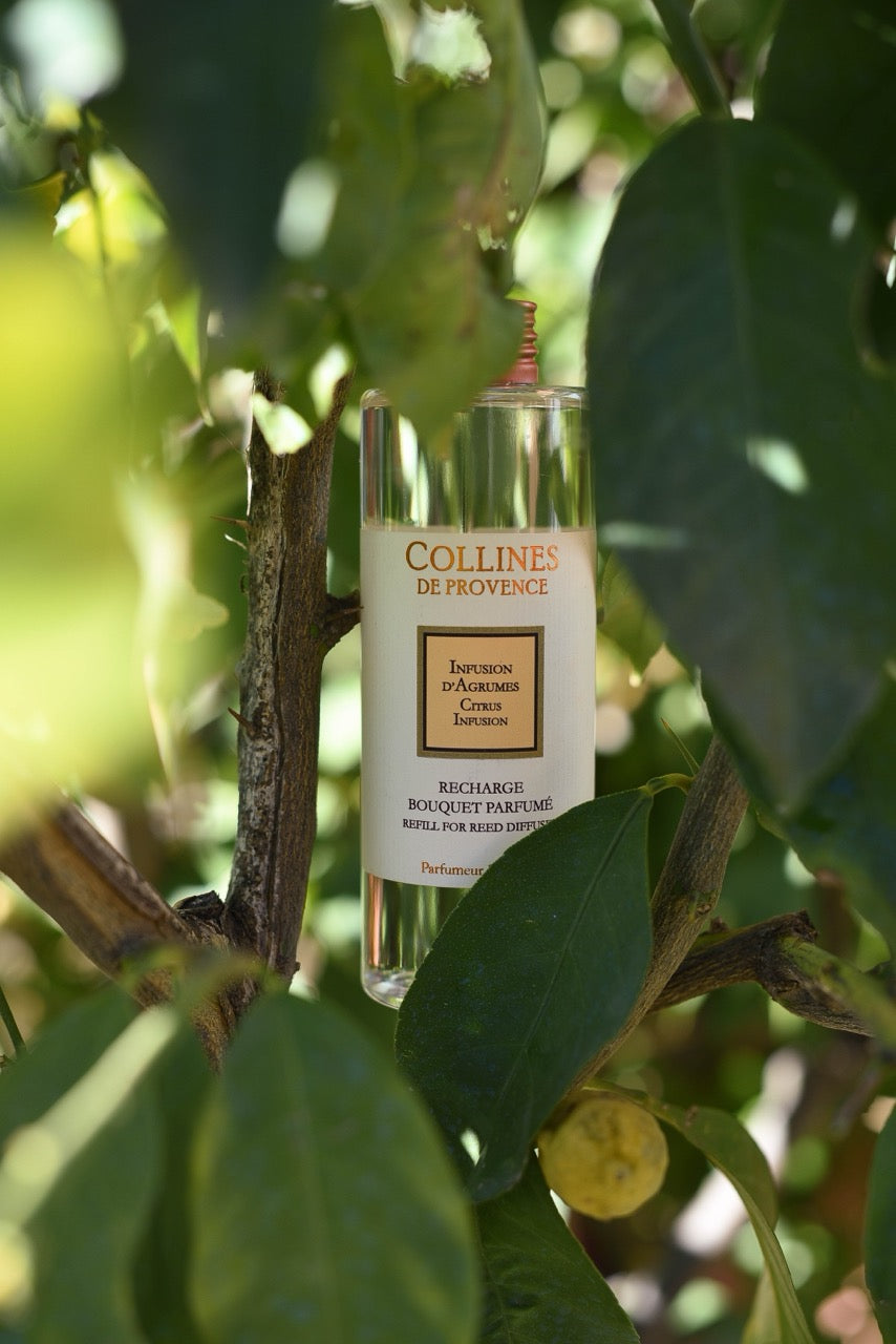 Infusion d'agrumes - Parfum d'intérieur de Collines de Provence