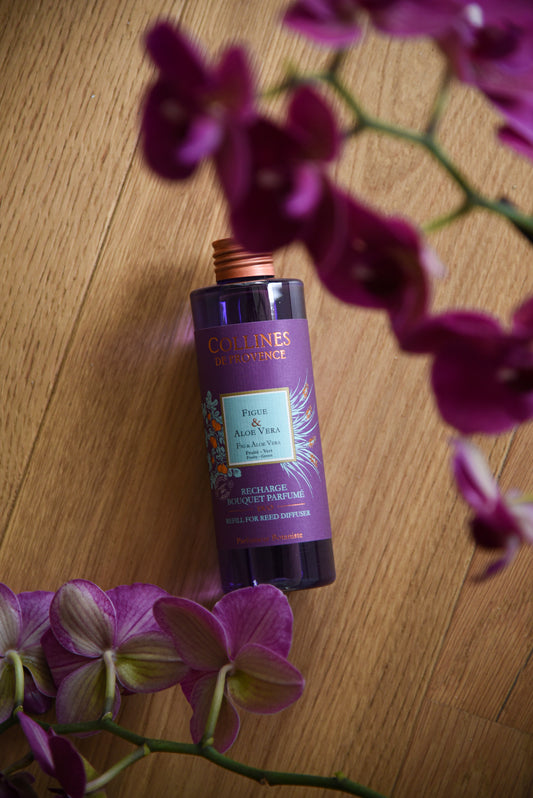 Figue & Aloe vera - Recharge bouquet parfumé de Collines de Provence