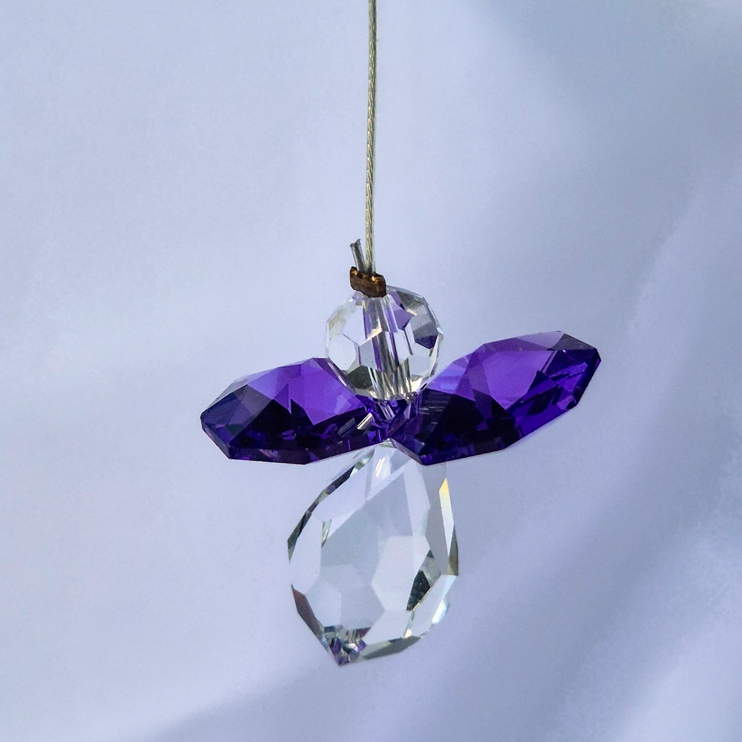 Attrape Soleil Cristal | Février