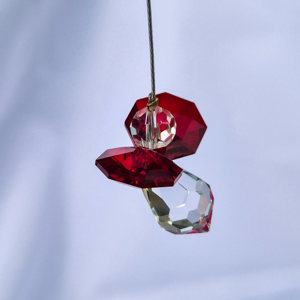 Attrape Soleil Cristal | Janvier