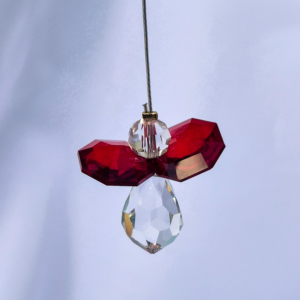 Attrape Soleil Cristal | Janvier