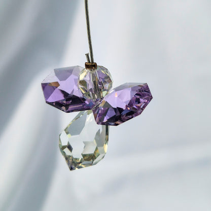 Attrape Soleil Cristal | Juin