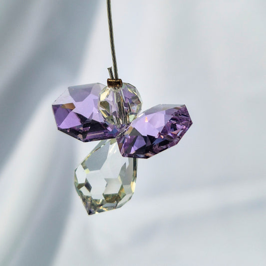 Attrape Soleil Cristal | Juin