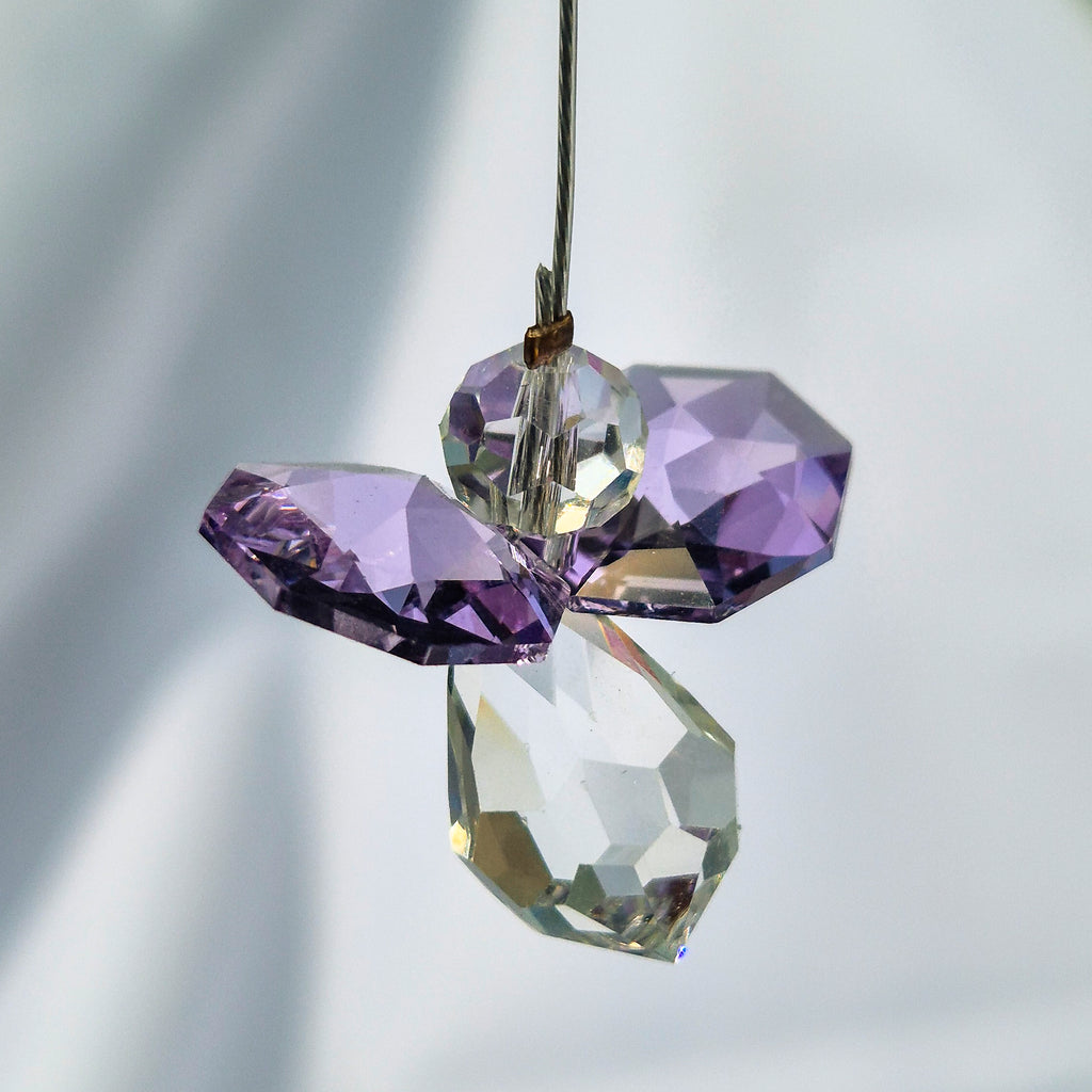 Attrape Soleil Cristal | Juin
