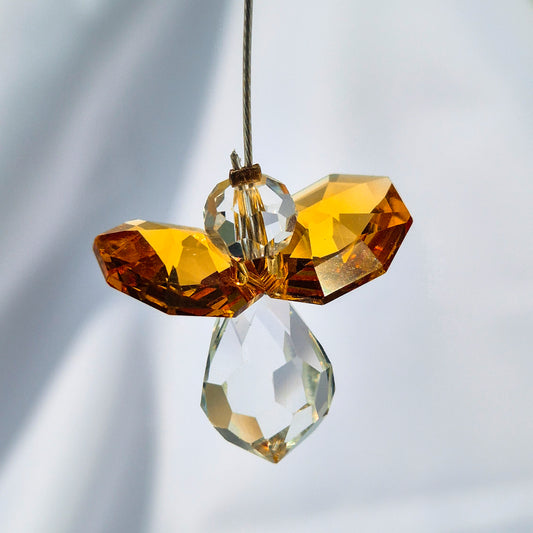 Attrape Soleil Cristal | Novembre