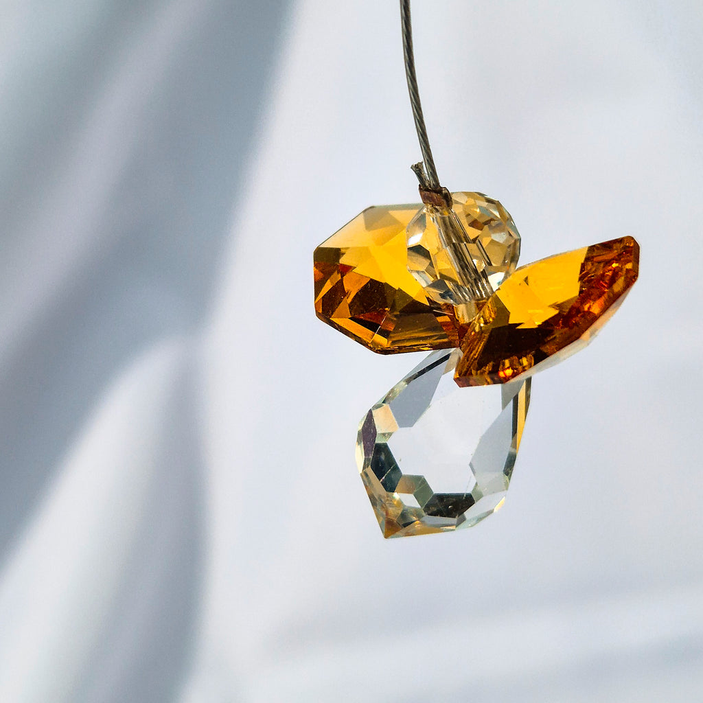 Attrape Soleil Cristal | Novembre