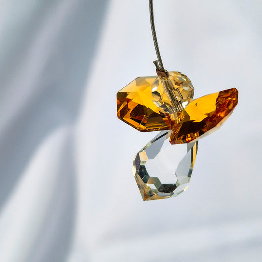 Attrape Soleil Cristal | Novembre